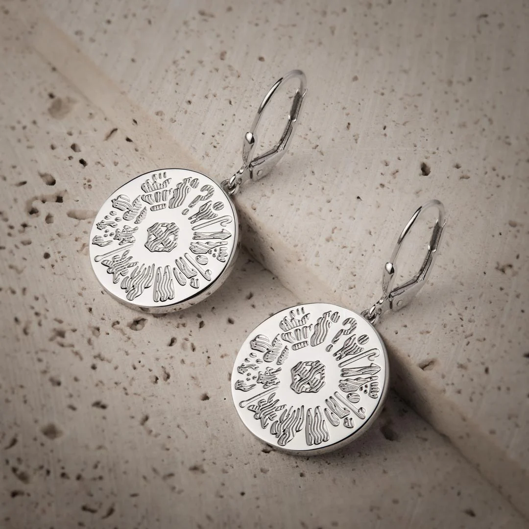 Silver History Of Ireland Disc Earrings - Image 3